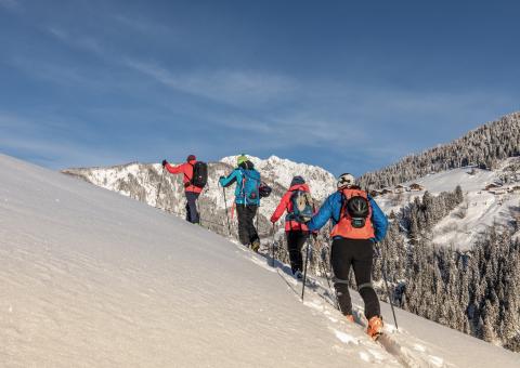 00000003225_Tourenski-2-2019-top-14 00000003225_Tourenski-2-2019-top-14