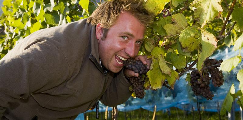 csm_weingarten7_77bdca644a csm_weingarten7_77bdca644a